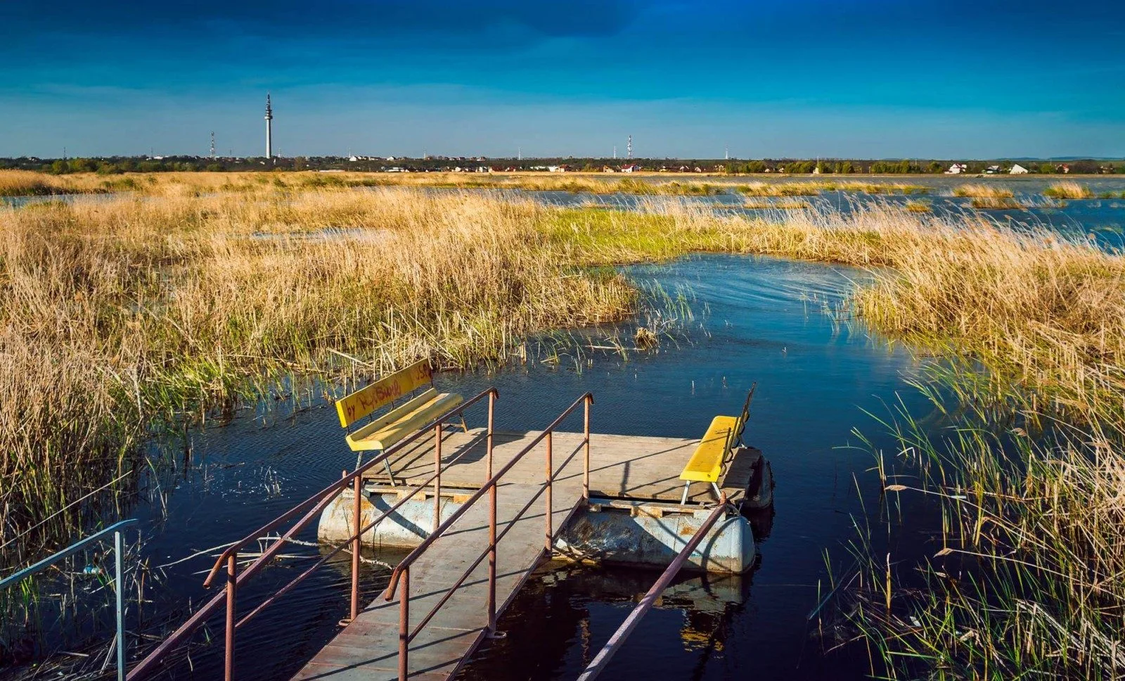 Lacurile din jurul orasului Bacau